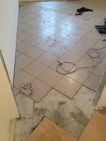 ������ �������