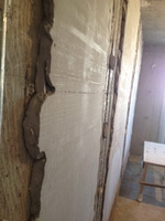 ������ �������